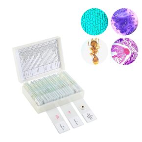 60 Microscope Slides with Specimens,Prepared Microscope Slides for Kids,Glass Slides for Microscope,Prepared Slides for Kids Microscope,Microscope Slide Preparation Kit for Biology Science Classes
