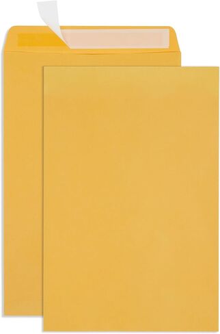 قمة Blue Suppies 100 10 "× 13" أظرف كتالوج ، ختم ذاتي ، للبريد الفهرس ، المجلات وغيرها in Kuwait