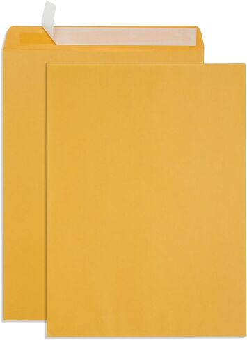قمة Blue Suppies 100 10 "× 13" أظرف كتالوج ، ختم ذاتي ، للبريد الفهرس ، المجلات وغيرها in Kuwait