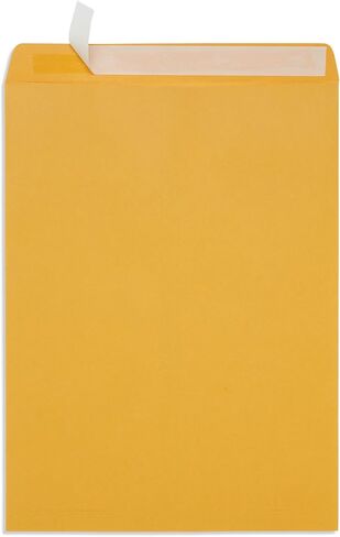 قمة Blue Suppies 100 10 "× 13" أظرف كتالوج ، ختم ذاتي ، للبريد الفهرس ، المجلات وغيرها in Kuwait