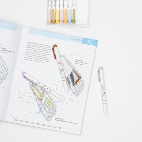 Zebra Pen MILDLINER 5/PK FLUORESCNT, Multicolors in Saudi Arabia