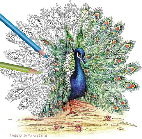 Staedtler Colored Pencils, Triangular Barrel, 4mm, 72 Pieces (1278CM72A6) in Kuwait
