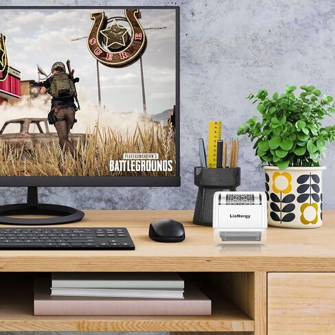 LioNergy Identity Protection Roller Stamp Roller Identity Theft Prevention Security Stamp with 3 Refills - Blue in Kuwait