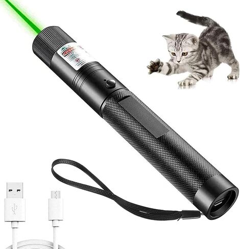 Long Range Green Laser Pointer Beam with USB Charging, Presentation Remotes for Indoor Meetings, Presentation, Interactive Toys for Indoor Dogs Cats in Saudi Arabia