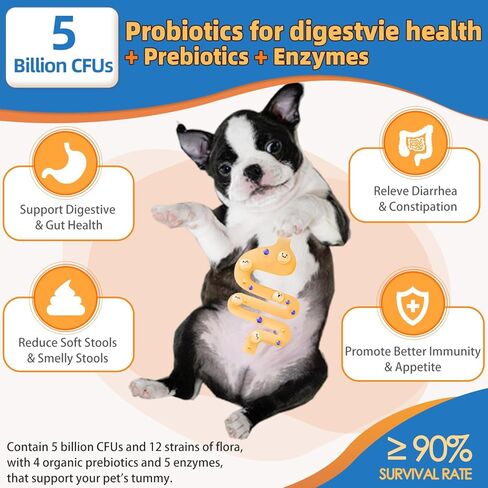 Dog Multivitamin Powder with Glucosamine, Dog Vitamins and Supplements for Immune Support, Dog Skin and Coat Supplement with Omega 3 for Allergy Relief, Probiotics for Dog Support Digestive Health in Saudi Arabia