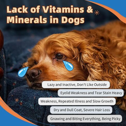 Dog Multivitamin Powder with Glucosamine, Dog Vitamins and Supplements for Immune Support, Dog Skin and Coat Supplement with Omega 3 for Allergy Relief, Probiotics for Dog Support Digestive Health in Saudi Arabia