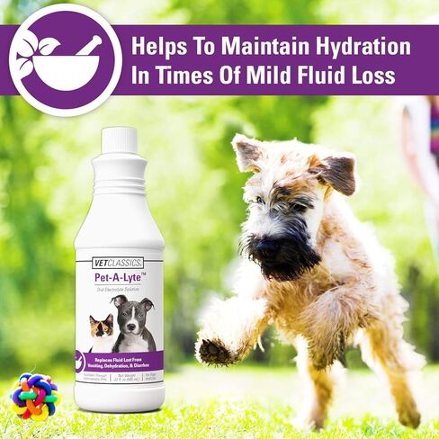 Vet Classics Pet-A-Lyte Oral Electrolyte Solution for Dogs and Cats – Helps Replace Fluids Lost from Pet Dehydration, Diarrhea, Vomiting – Replaces Dog Electrolytes – 32 Oz. in Kuwait