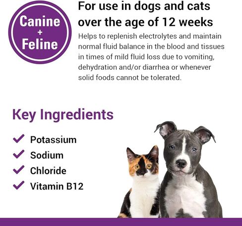 Vet Classics Pet-A-Lyte Oral Electrolyte Solution for Dogs and Cats – Helps Replace Fluids Lost from Pet Dehydration, Diarrhea, Vomiting – Replaces Dog Electrolytes – 32 Oz. in Kuwait