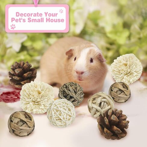 kathson 12 Pack Natural Bunny Chew Balls Small Animal Activity Toys Rabbit Play Ball Rolling Toy Gnawing Treats Timothy Grass Balls for Guinea Pigs Chinchilla Pet Cage Entertainment in Kuwait