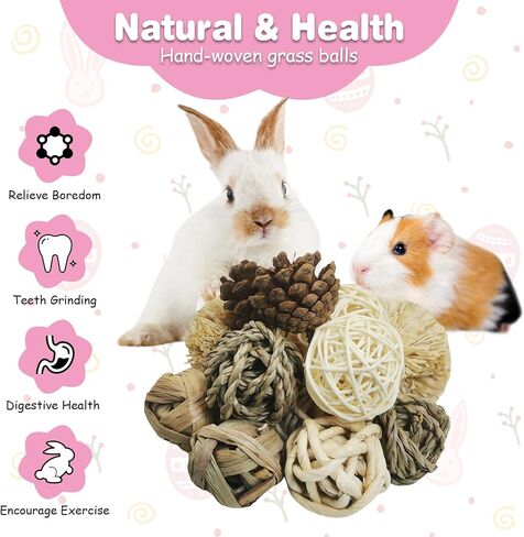 kathson 12 Pack Natural Bunny Chew Balls Small Animal Activity Toys Rabbit Play Ball Rolling Toy Gnawing Treats Timothy Grass Balls for Guinea Pigs Chinchilla Pet Cage Entertainment in Kuwait