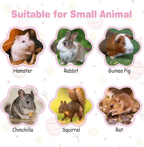 kathson 12 Pack Natural Bunny Chew Balls Small Animal Activity Toys Rabbit Play Ball Rolling Toy Gnawing Treats Timothy Grass Balls for Guinea Pigs Chinchilla Pet Cage Entertainment in Kuwait