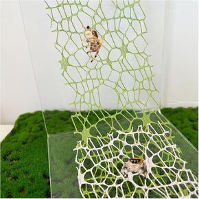 6 PCS القفز على العنكبوت الملحقات-قفز العنكبوت الشريط Moss Moss مع مغناطيس للسبوديس قفز حاوية العنكبوت يتسلق تسلق (غير مشمولة العنكبوت القفز terrarium) (أسود+أبيض)