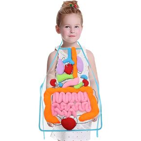 KAKIBLIN 3D Organ Apron,(Upgrade Version) Anatomy Apron Human Body Organs Awareness Educational Toy for Home Preschool Teaching Aid, Transparent