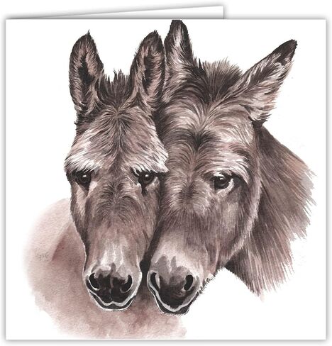 Maturi Donkeys Photographic Blank Birthday Greetings Card, 6" x 6" Square in Saudi Arabia