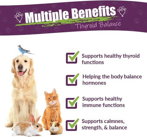 Amber NaturalZ TYD Thyroid Balance Herbal Supplement for Dogs, Cats, Birds, Guinea Pigs, and Rabbits | Herbal Pet Supplement for Thyroid Health | 1 Fluid Ounce Glass Bottle | Manufactured in The USA in Kuwait