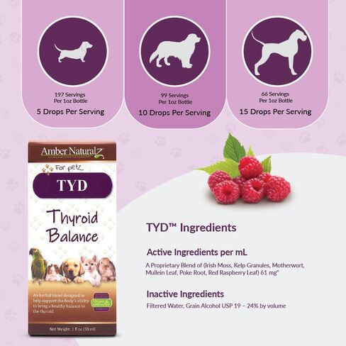 Amber NaturalZ TYD Thyroid Balance Herbal Supplement for Dogs, Cats, Birds, Guinea Pigs, and Rabbits | Herbal Pet Supplement for Thyroid Health | 1 Fluid Ounce Glass Bottle | Manufactured in The USA in Kuwait