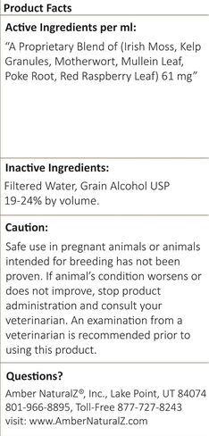 Amber NaturalZ TYD Thyroid Balance Herbal Supplement for Dogs, Cats, Birds, Guinea Pigs, and Rabbits | Herbal Pet Supplement for Thyroid Health | 1 Fluid Ounce Glass Bottle | Manufactured in The USA in Kuwait