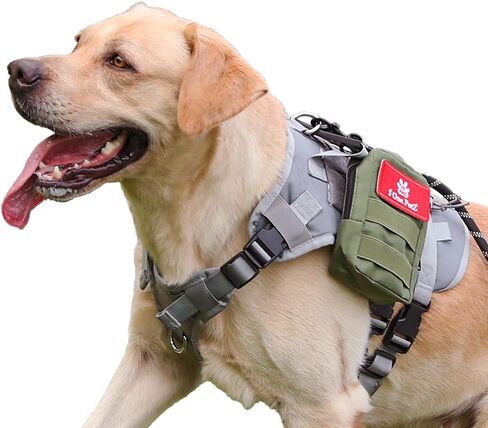 Tactical Dog Harness + Leash, No Pull, Heavy Duty, Adjustable (Black Backbone, Grey Bag, L) in Saudi Arabia