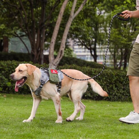 Tactical Dog Harness + Leash, No Pull, Heavy Duty, Adjustable (Black Backbone, Grey Bag, L) in Saudi Arabia