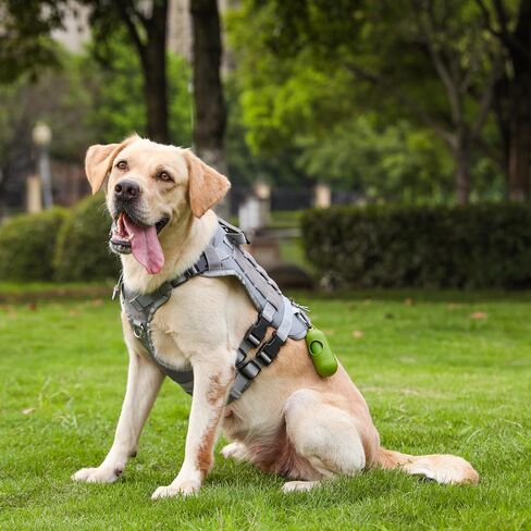 Tactical Dog Harness + Leash, No Pull, Heavy Duty, Adjustable (Black Backbone, Grey Bag, L) in Saudi Arabia