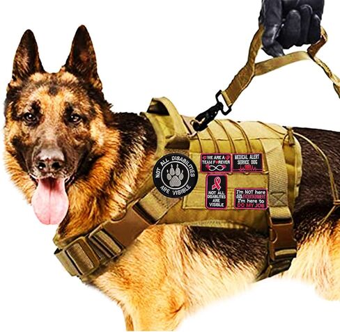 Service Dog Patch ، قم بأداء وظيفتي أنا لست من أجل تصحيح الترفيه الخاص بك لسترات الكلاب/تسخيرها ، وتصحيح الرحلات المقدمية (القيام بوظيفتي) in Kuwait