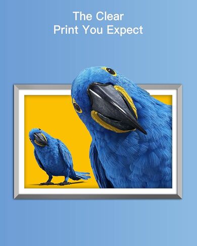 GPC صورة متوافقة 564XL خرطوشة حبر HP Printers استبدال HP 564XL 564 XL حبر الحبر حزمة التحرير والسرد متوافقة مع Photosmart 7510 7515 7520 7525 C309A PRINTER (12 حزمة مع أسود الصورة) in Kuwait