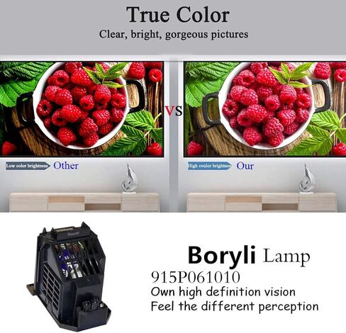 915P061A10 915P061010 TV Lamp with Housing for WD-65734 WD-57733 WD-57734 Models in Kuwait