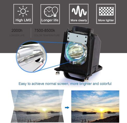 915P061A10 915P061010 TV Lamp with Housing for WD-65734 WD-57733 WD-57734 Models in Kuwait