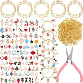 Tondiamo 173 Pieces Bracelet Jewelry Making Kit 100 Assorted Bracelet Charms 60 Jump Rings and Tools for Women Jewelry Making Crafts DIY Necklace Bracelet Earring Craft Supplies Craft Beginner