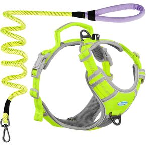 ThinkPet No Pull Harness Set Breathable Sport Harness with Handle - Reflective Padded Dog Safety Vest with Reflective Neon Dog Leash S Harness Leash Pack Green