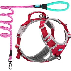 ThinkPet No Pull Harness Set Breathable Sport Harness with Handle - Reflective Padded Dog Safety Vest with Reflective Neon Dog Leash S Harness Leash Pack Green
