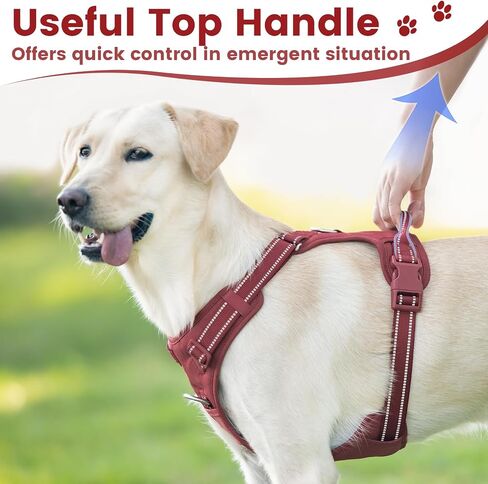 No Pull Dog Harness, Reflective Puppy Vest for Small Medium Large Sized Dog(Prussian Blue,L) in Saudi Arabia