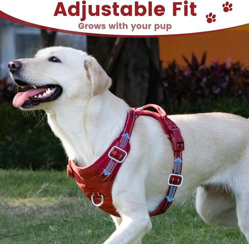 No Pull Dog Harness, Reflective Puppy Vest for Small Medium Large Sized Dog(Prussian Blue,L) in Saudi Arabia