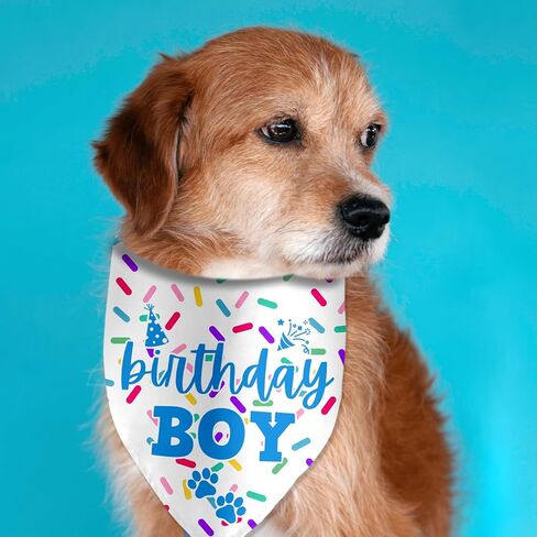 Birthday Bandanas for Pets - Photo Props & Party Decorations in Kuwait
