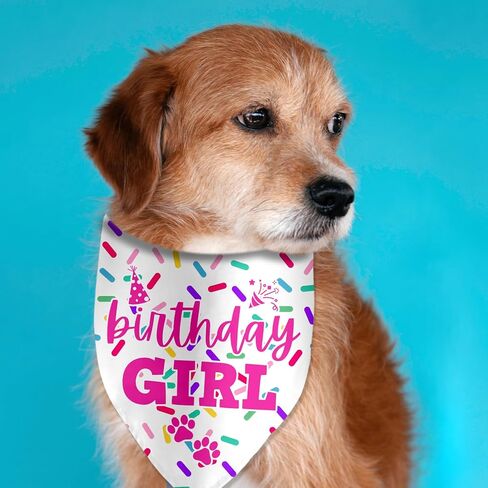 Birthday Bandanas for Pets - Photo Props & Party Decorations in Kuwait