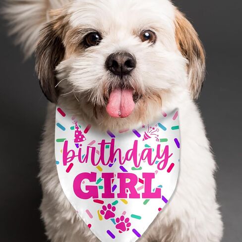 Birthday Bandanas for Pets - Photo Props & Party Decorations in Kuwait
