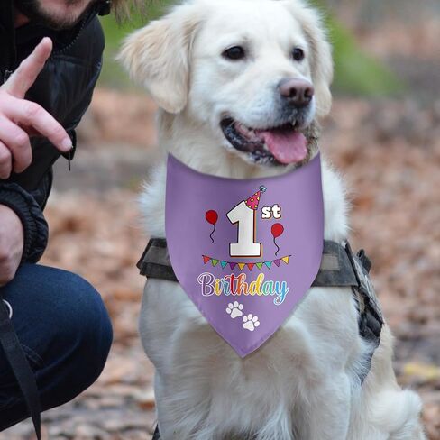 Birthday Bandanas for Pets - Photo Props & Party Decorations in Kuwait