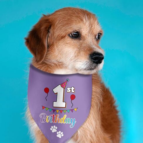 Birthday Bandanas for Pets - Photo Props & Party Decorations in Kuwait
