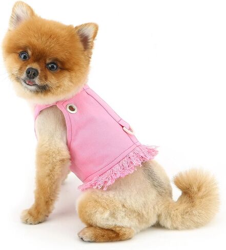Denim Dog Harness Vest for Small Dogs Puppy Clothes Cat Vest Harness and Leash Set Spring Summer Pet Shirt with D-Ring Sleeveless Doggie Strap Cute Chihuahua Fringe Outfits,Pink,XXL in Saudi Arabia