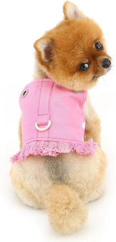Denim Dog Harness Vest for Small Dogs Puppy Clothes Cat Vest Harness and Leash Set Spring Summer Pet Shirt with D-Ring Sleeveless Doggie Strap Cute Chihuahua Fringe Outfits,Pink,XXL in Saudi Arabia