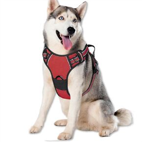 Dog Harness,Adjustable Soft Padded Dog Vest with 2 Leash Clips,No-Pull Pet Harness with 2 Snap Buckles,Reflective No-Choke Pet Oxford Vest for Small Medium Large Dogs (Blue, M)