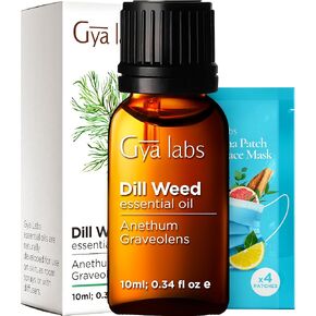 Gya Labs dill assental الزيت للموزع وشموع صنع الرائحة - 0.34 fl Oz - 100 ٪ من زيت الشبت الطبيعي النقي للتدليك ، الجلد ، DIY العطرية وصنع الشموع - حار ترابي وحلوة