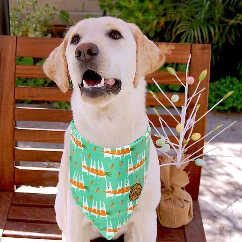 CROWNED BEAUTY Easter Dog Bandanas Reversible Large 2 Pack, Bunnies & Chicks Set, Plaid Adjustable Triangle Holiday Scarves for Medium Large Extra Large Dogs Pets DB99-L in Saudi Arabia
