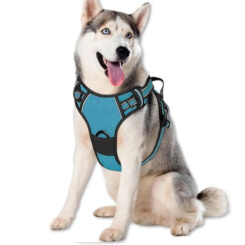 Dog Harness,Adjustable Soft Padded Dog Vest with 2 Leash Clips,No-Pull Pet Harness with 2 Snap Buckles,Reflective No-Choke Pet Oxford Vest for Small Medium Large Dogs (Blue, M) in Saudi Arabia