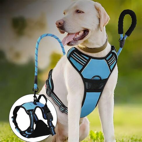 Dog Harness,Adjustable Soft Padded Dog Vest with 2 Leash Clips,No-Pull Pet Harness with 2 Snap Buckles,Reflective No-Choke Pet Oxford Vest for Small Medium Large Dogs (Blue, M) in Saudi Arabia