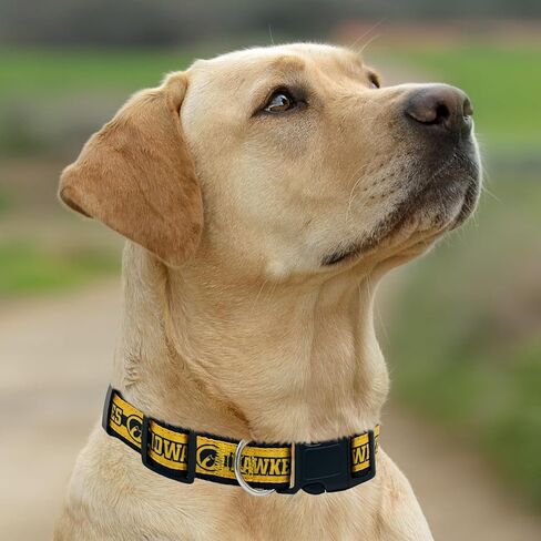Pets First Collegiate PET Collar New Version Indiana Hoosiers Dog Collar, Size Medium. Best Sports Team Color for Dogs & Cats. A Shiny & Colorful Dog & Cat Collar Licensed by The NCAA in Saudi Arabia