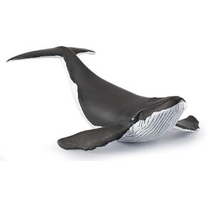 Papo - Hand-Painted - Figurine - Marine Life - Whale Calf Figure-56035 - Collectible - for Children - Suitable for Boys and Girls - from 3 Years Old