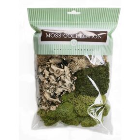 Quality Growers The Moss Collection Variety Pack (Original, Medium)