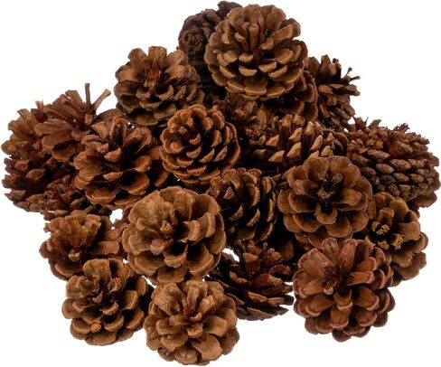 Cinnamon Pine Cones Scented - 1lb Pack Small Cinnamon Pinecones Decor - Rustic Christmas Decor - Mini Pinecones for Crafts - Small Pinecones - Pine Cone Ornaments - Small Pinecones for Crafts in Kuwait