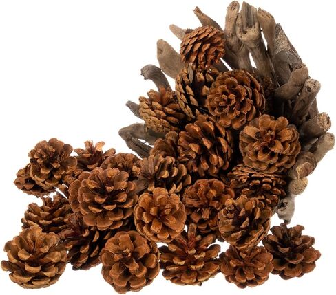 Cinnamon Pine Cones Scented - 1lb Pack Small Cinnamon Pinecones Decor - Rustic Christmas Decor - Mini Pinecones for Crafts - Small Pinecones - Pine Cone Ornaments - Small Pinecones for Crafts in Kuwait